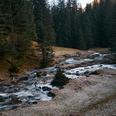 Stelza Nature Chalet Val di Vizze Eksteriør billede