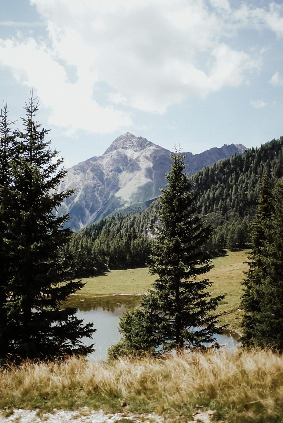 Stelza Nature Chalet Val di Vizze Eksteriør billede